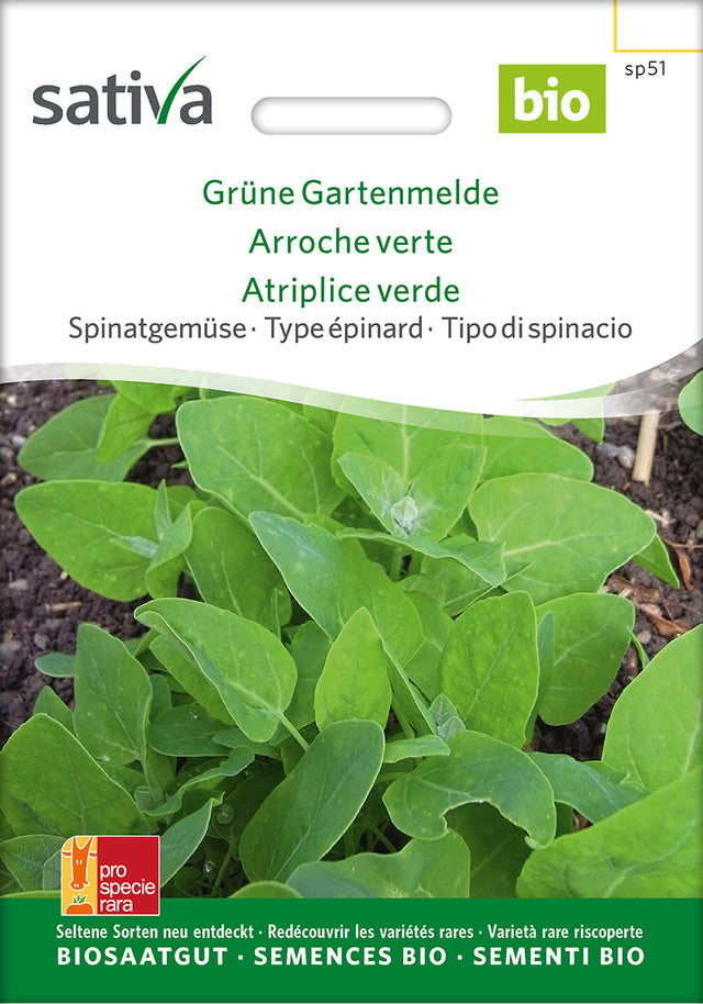 Sativa Spinatgemüse Grüne Gartenmelde