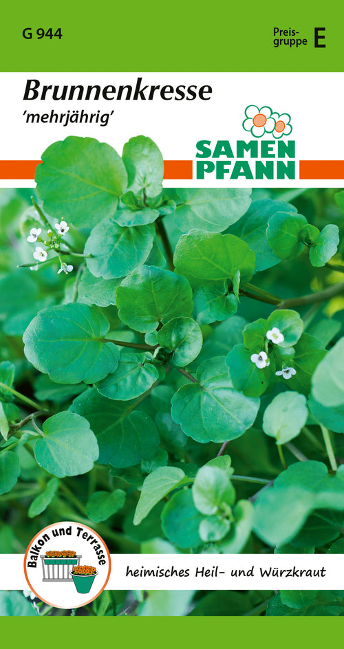 Samen Pfann Brunnenkresse Mehrjährig