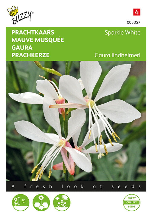 Buzzy Seeds Prachtkerzen Sparkle White