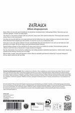 Premium Zierlauch atropurpureum
