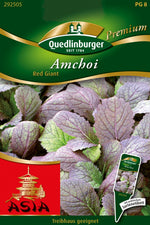 Quedlinburger Amchoi Red Giant