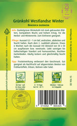 Quedlinburger Grünkohl Westlandse Winter