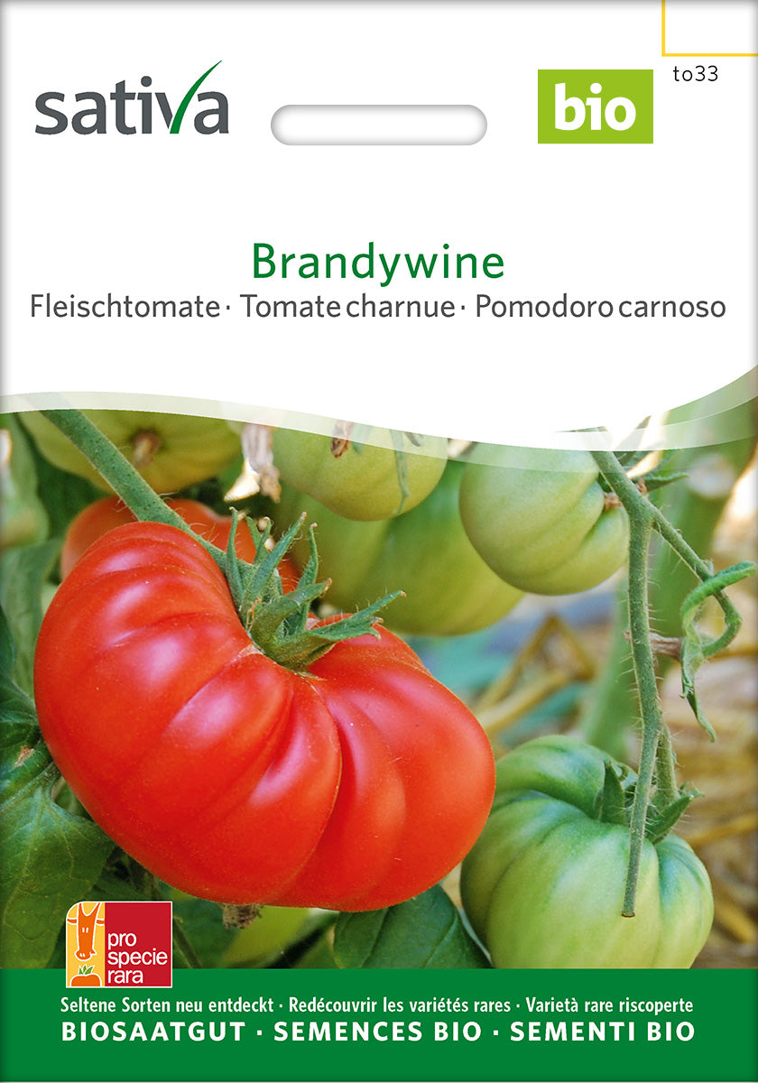 Sativa Fleischtomate Brandywine