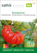 Sativa Fleischtomate Brandywine
