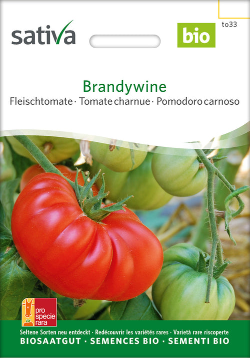 Sativa Fleischtomate Brandywine
