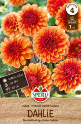 SPERLI Dahlie David Howard
