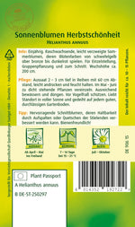 Quedlinburger Sonnenblume Herbstschönheit