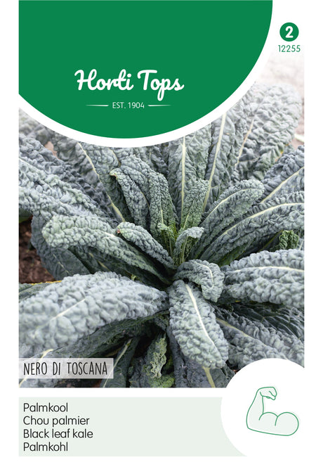 Horti Tops Schwarzkohl Nero di Toscana