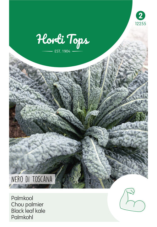 Horti Tops Schwarzkohl Nero di Toscana
