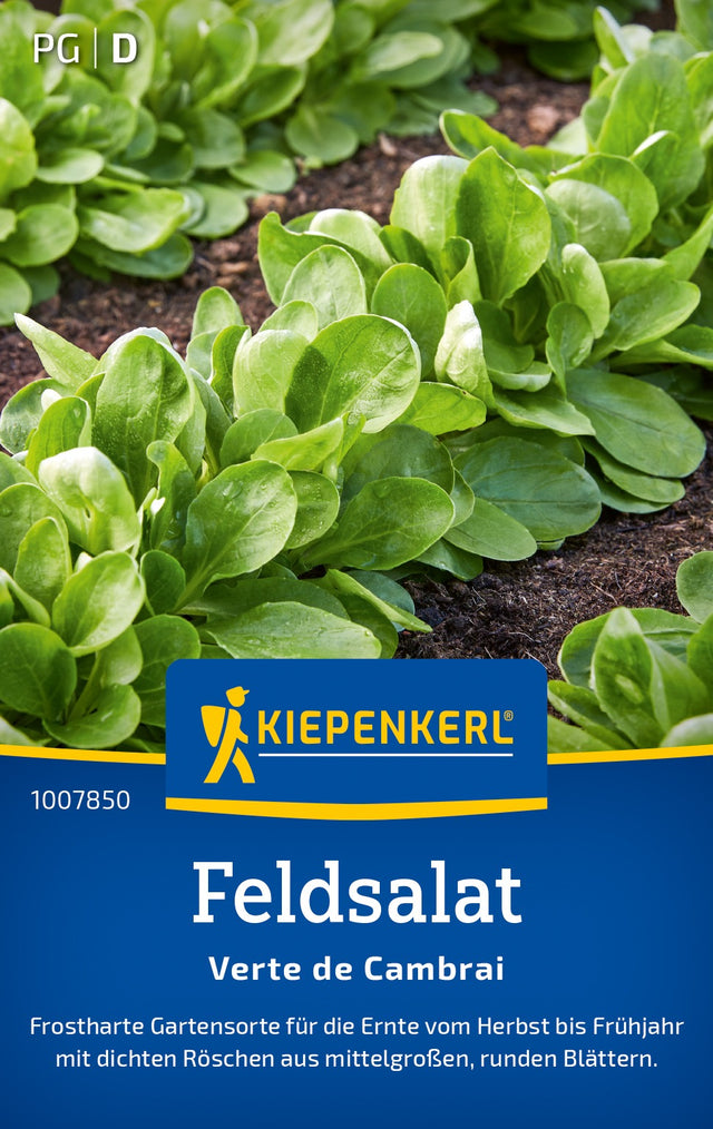 Kiepenkerl Feldsalat Verte de Cambrai