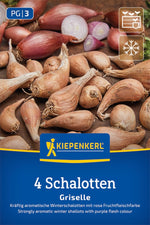 Kiepenkerl Winterschalotte Griselle 4 Stück
