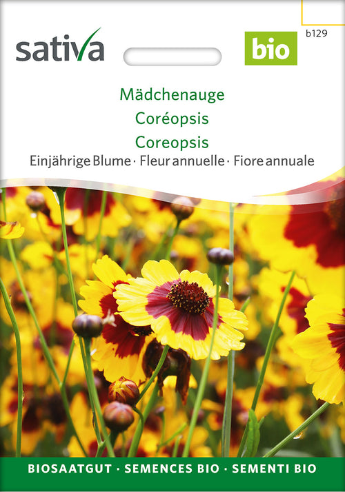 Sativa Mädchenauge