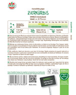 SPERLI Zierkürbis SPERLI's Erntedank