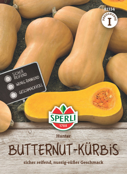 SPERLI Butternutkürbis Hunter