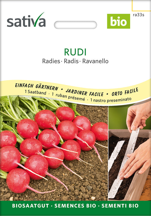 Sativa Radies Rudi Saatband