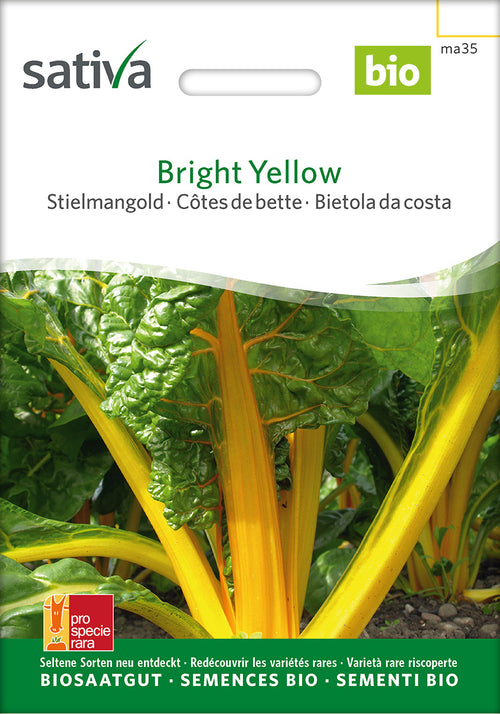 Sativa Stielmangold Bright Yellow