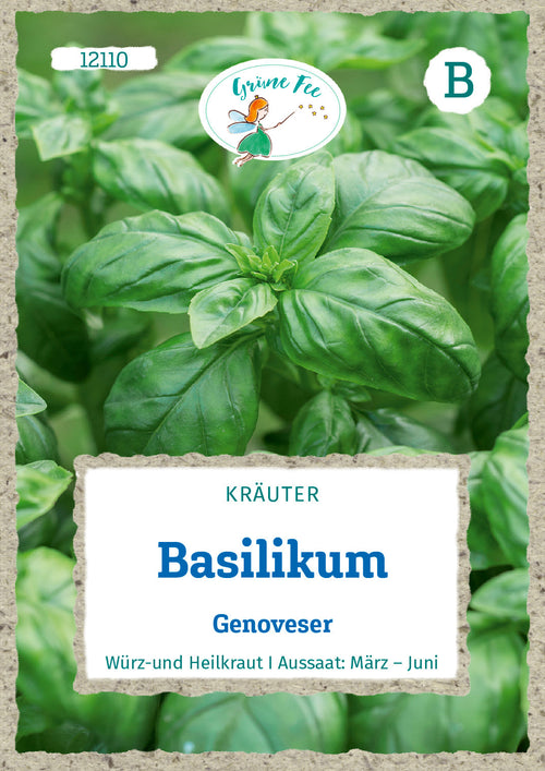 Grüne Fee Basilikum Genoveser