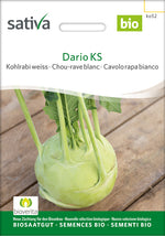 Sativa Kohlrabi weiss Dario KS