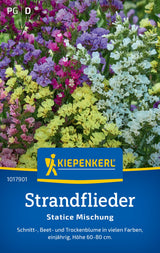 Kiepenkerl Strandflieder Statice Mischung