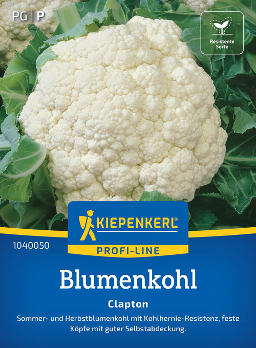 Kiepenkerl Blumenkohl Clapton