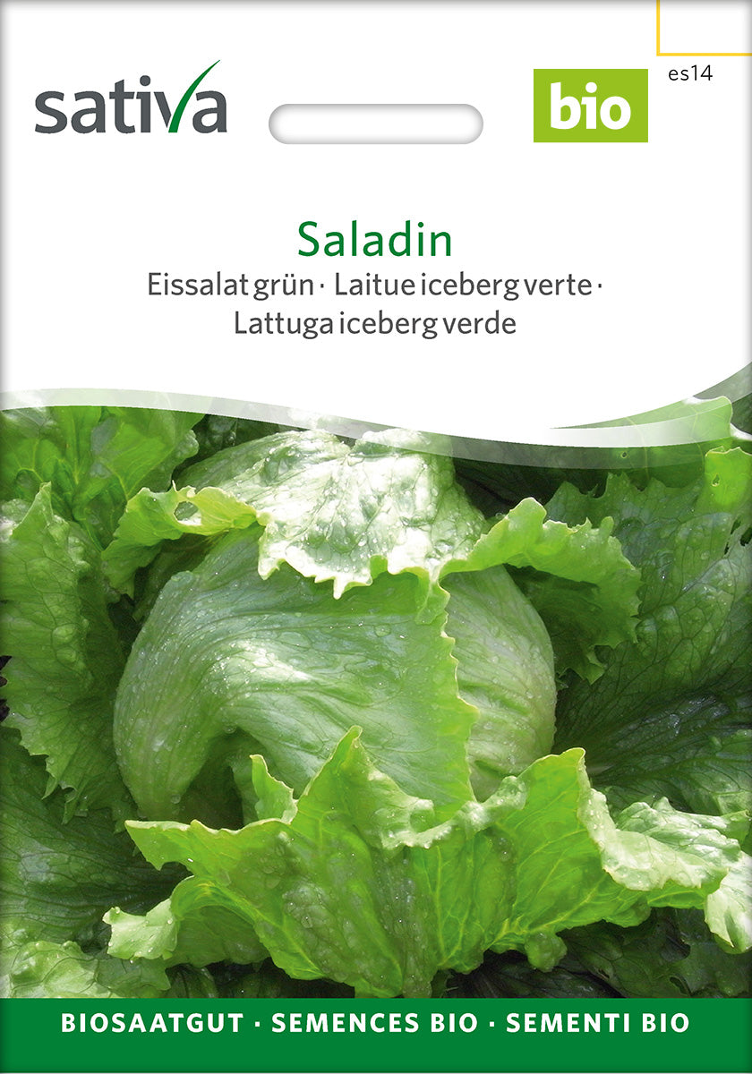 Sativa Eissalat grün Saladin