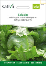 Sativa Eissalat grün Saladin