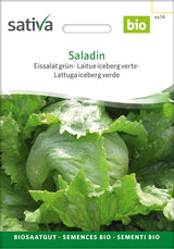 Sativa Eissalat grün Saladin