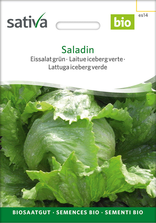 Sativa Eissalat grün Saladin