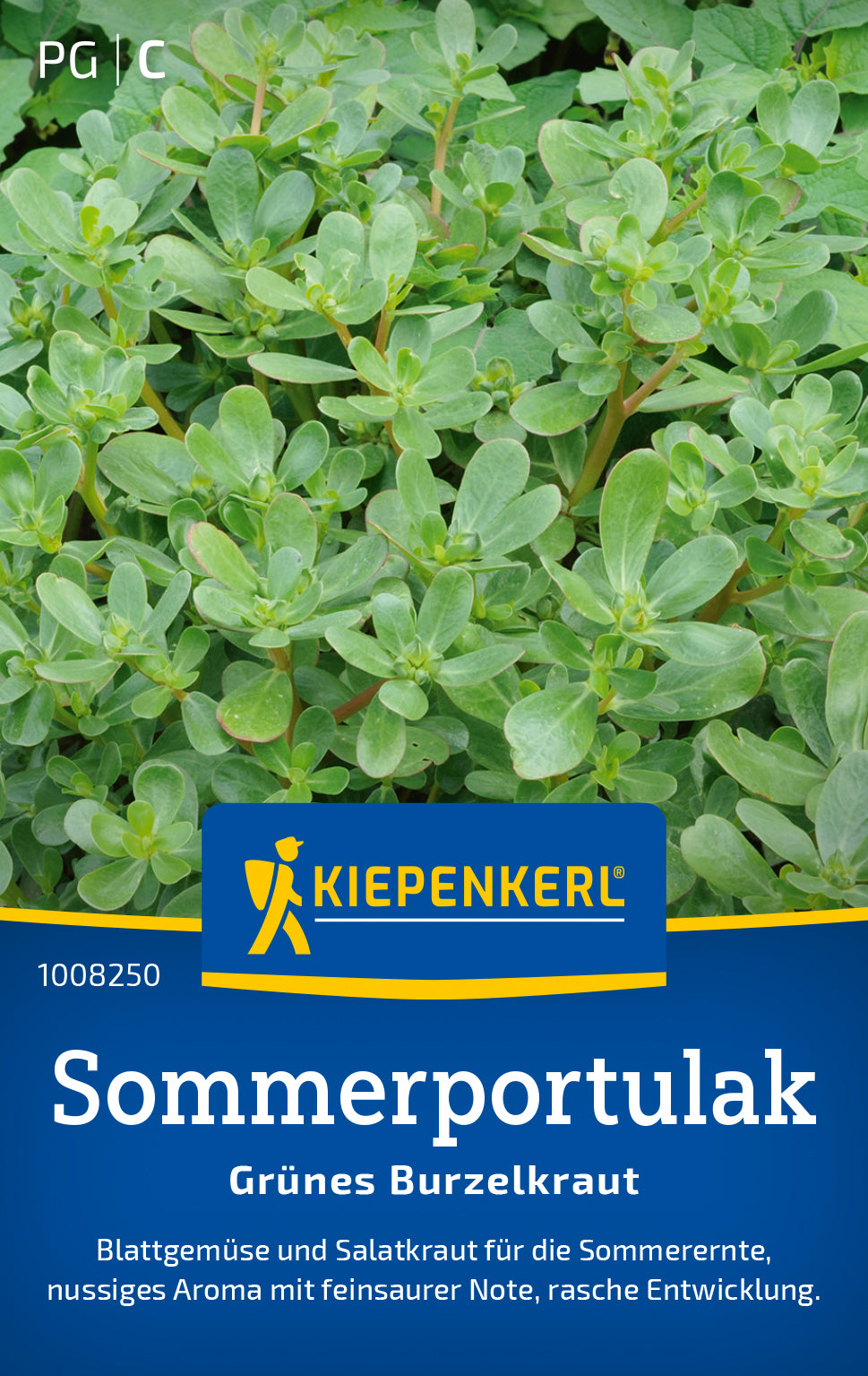 Kiepenkerl Portulak Grünes Burzelkraut