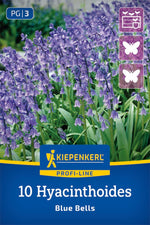 Profi-Line Hasenglöckchen Blue Bells
