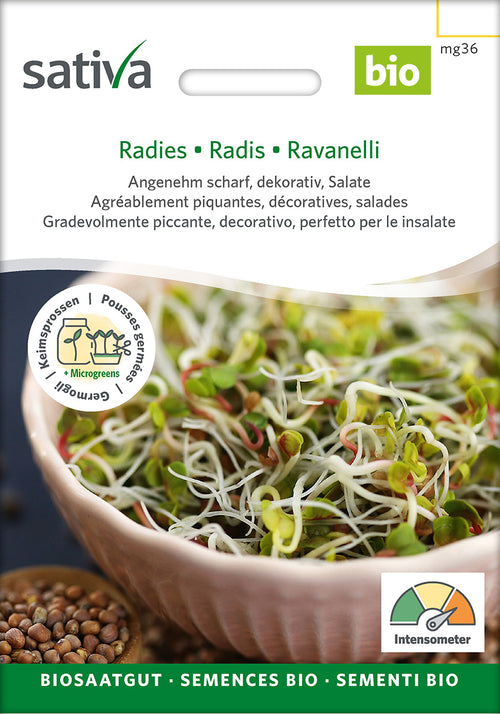 Sativa Keimsprossen Radies