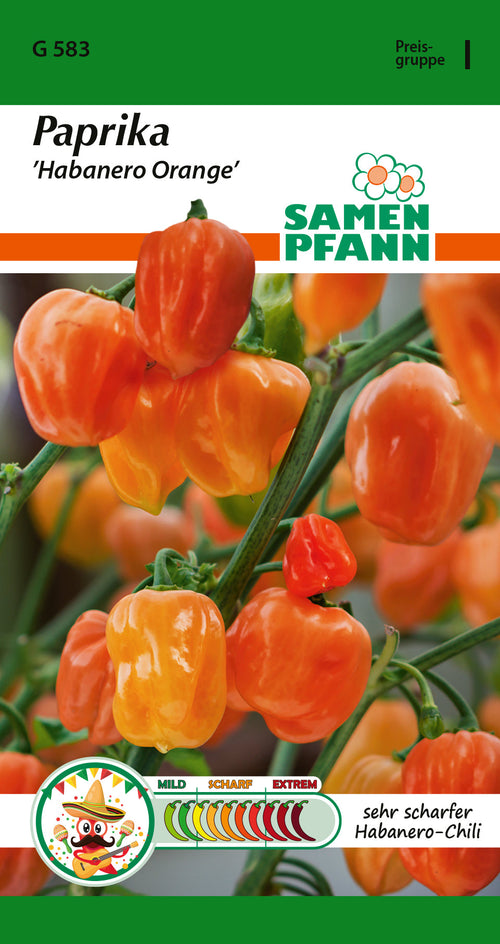 Samen Pfann Habanero Orange Paprika