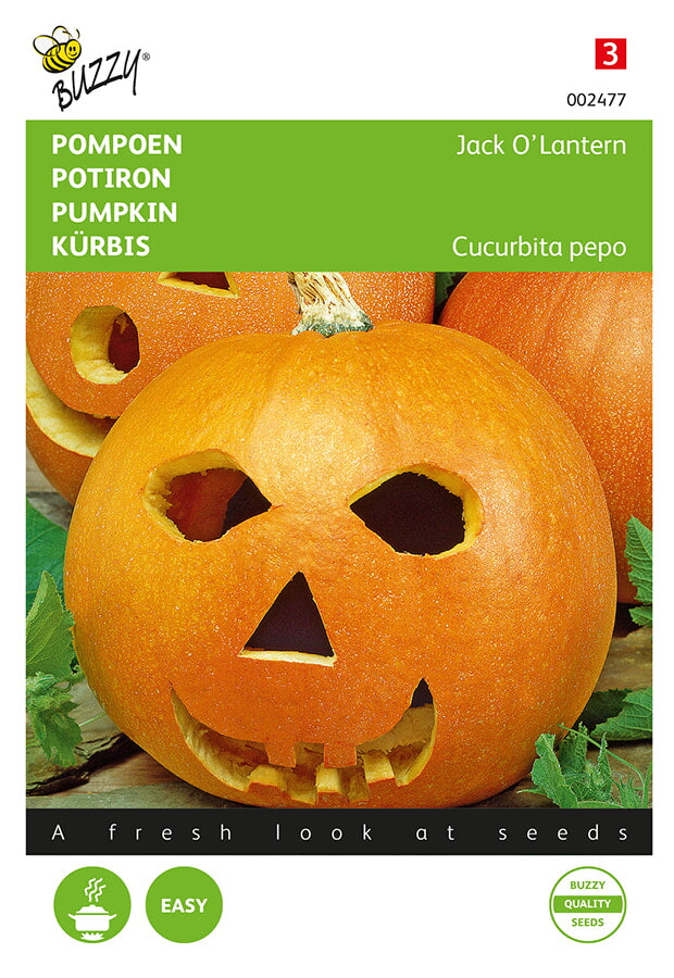 Buzzy Seeds Halloweenkürbis Jack 'O Lantern