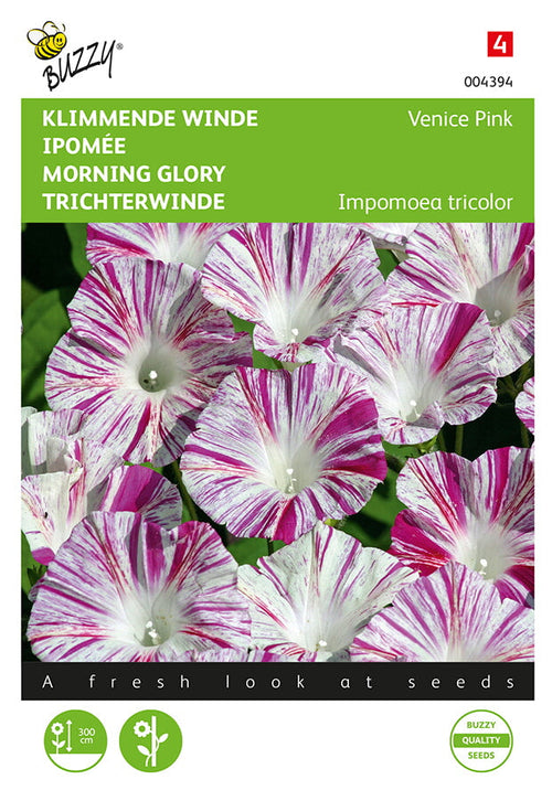 Buzzy Seeds Prunkwinden Venice Pink
