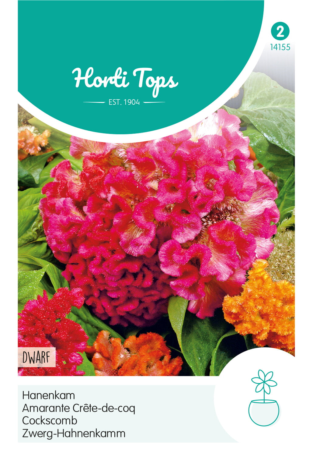 Horti Tops Hahnenkamm Cristata Nana Mischung