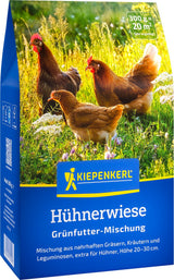 Kiepenkerl Gründünger Hühnerwiese