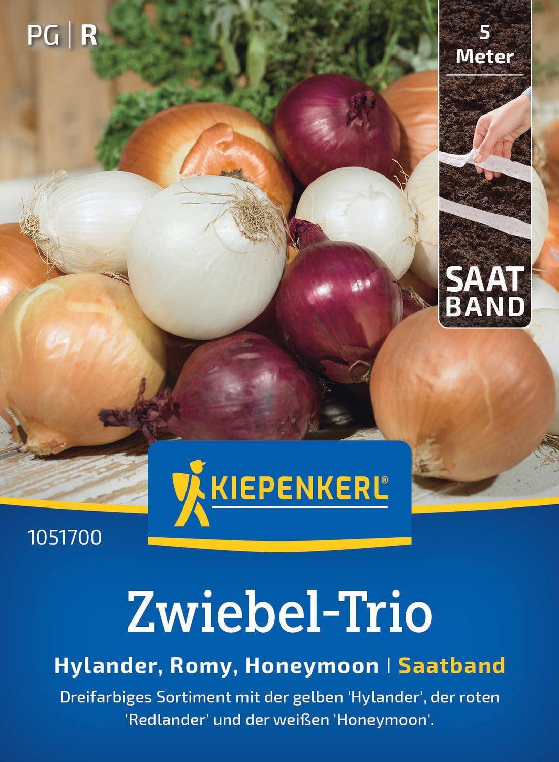 Kiepenkerl Zwiebel Hylander, Romy, Honeymoon Saatband