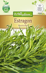 N.L. Chrestensen Estragon mehrjährig