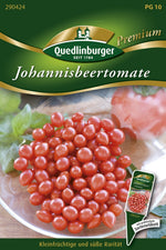 Quedlinburger Cherrytomate Johannisbeertomate