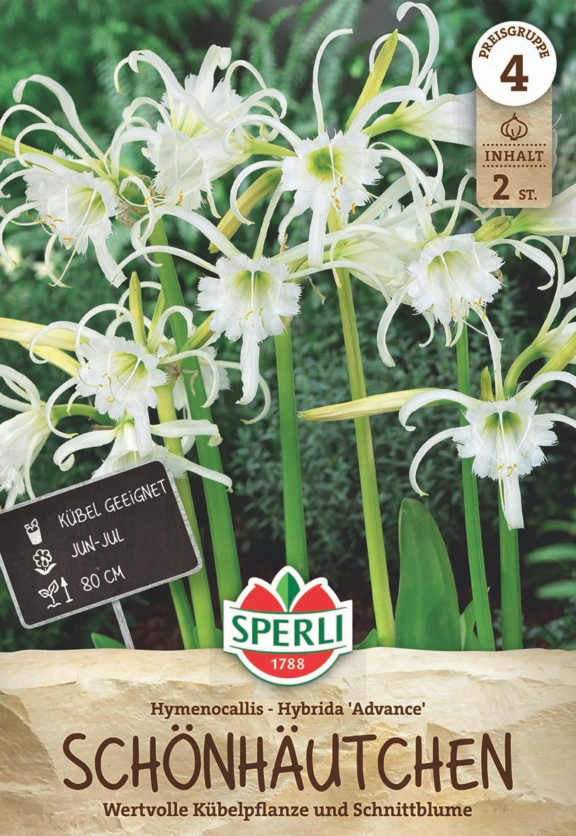 SPERLI Blumenzwiebeln Advance