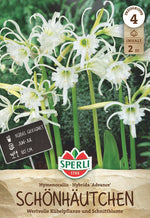 SPERLI Blumenzwiebeln Advance