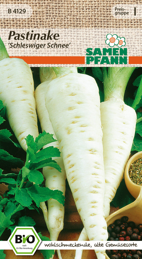 Samen Pfann BIO Pastinake Schleswiger Schnee