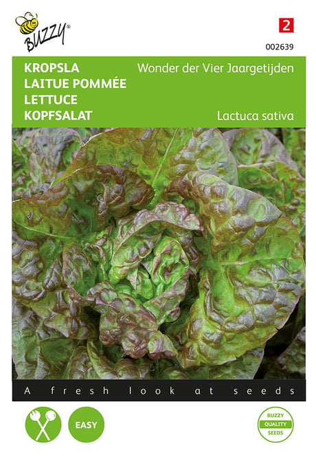 Buzzy Seeds Kopfsalat Merveille des quatre saisons