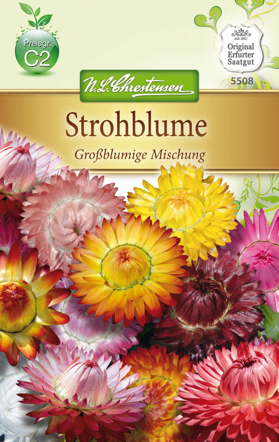 N.L. Chrestensen Strohblume Großblumige Mischung
