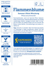 Kiepenkerl Flammenblumen Sommer-Phlox Mischung