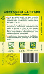 Quedlinburger Kap-Stachelbeere orange
