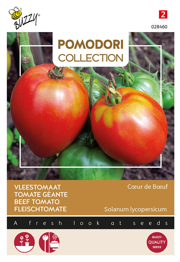 Buzzy Seeds Fleischtomate Cœur de Bœuf
