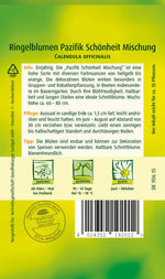 Quedlinburger Ringelblume Pazifik Schönheit Mischung