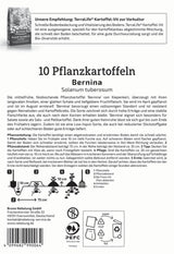 Kiepenkerl Pflanzkartoffel Bernina 10 Stück