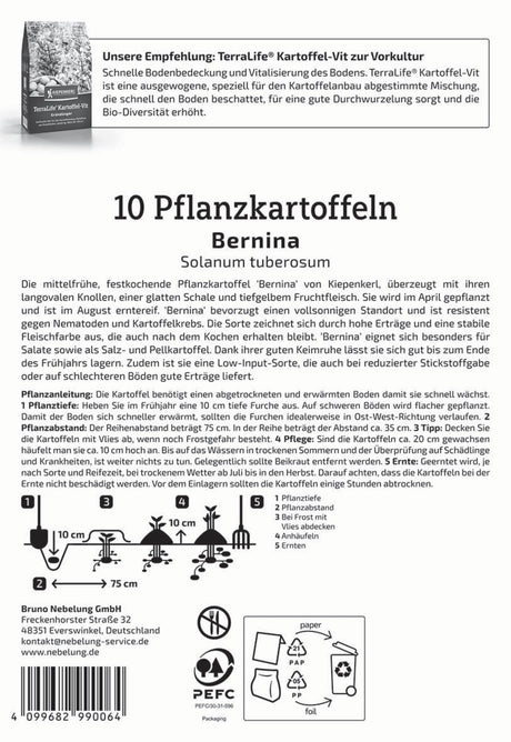 Kiepenkerl Pflanzkartoffel Bernina 10 Stück